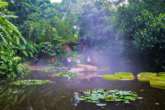 厦门最适合拍照的十大景点