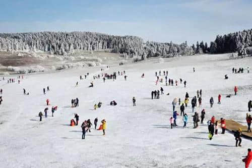 武隆仙女山“冰雪童话旅游季”即将开幕