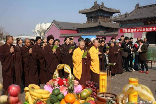 大地回春，河北唐山湾国际旅游岛景区迎来游客接待首季开门红！