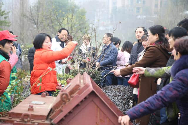 春来到 绿色城市建设俏 我校农学院老师公园实地教学园林剪枝