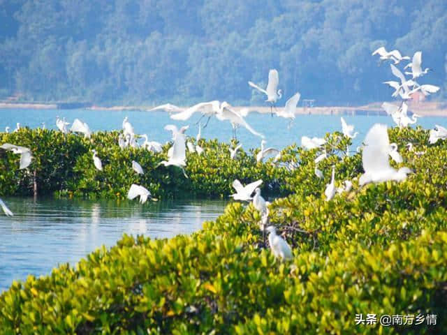 北海旅游免坑攻略，花最少，游最美的北海。