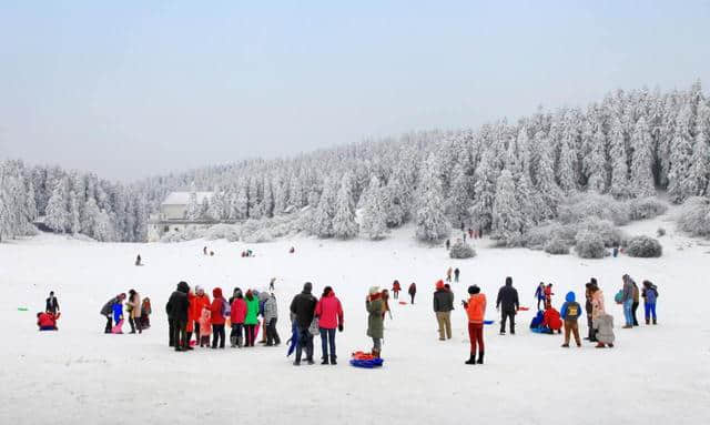 仙女山迎来2017年第一场大雪，周末去雪地撒欢吧！