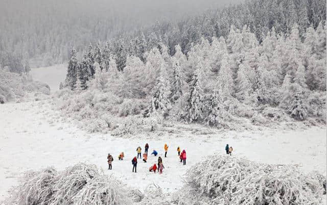 仙女山迎来2017年第一场大雪，周末去雪地撒欢吧！