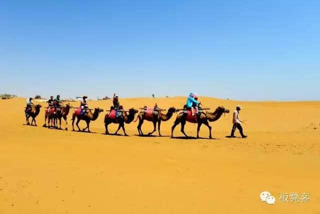 毒蛇金姐火力全开吐槽沙坡头，没想到！(内含沙坡头旅游攻略)