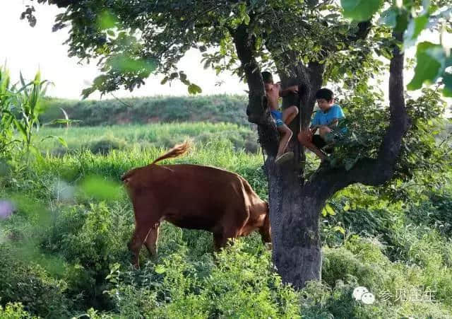 打造特色乡村旅游，就这五招！