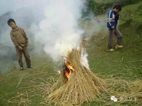 打造特色乡村旅游，就这五招！