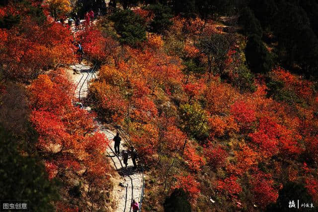 北京旅游景点推荐！十三处景点亲身体验，准备去的朋友先看看哦