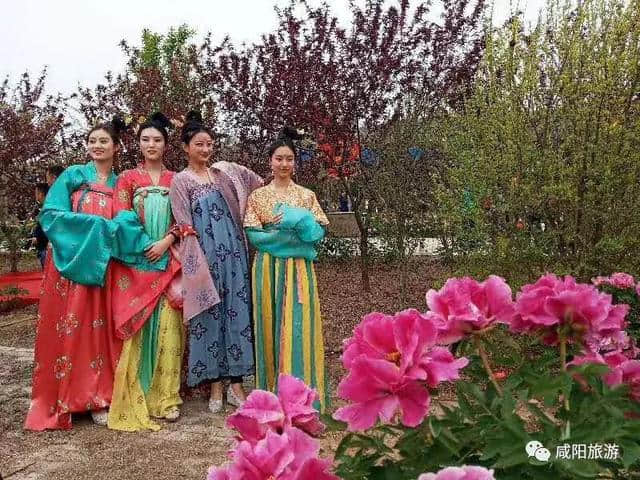 2019咸阳踏青赏花旅游季丨花美人更美！第四届大唐牡丹文化旅游节盛大开幕！