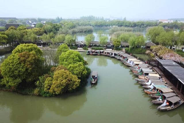 住进芦荡深处人家，感受不一样的沙家浜风景区，夏日清凉度假