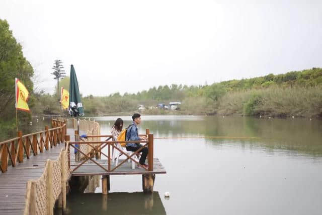 住进芦荡深处人家，感受不一样的沙家浜风景区，夏日清凉度假