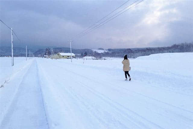 北海道甜蜜浪漫：旅行全攻略