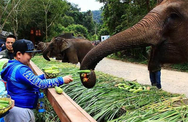 我旅游心德和感想