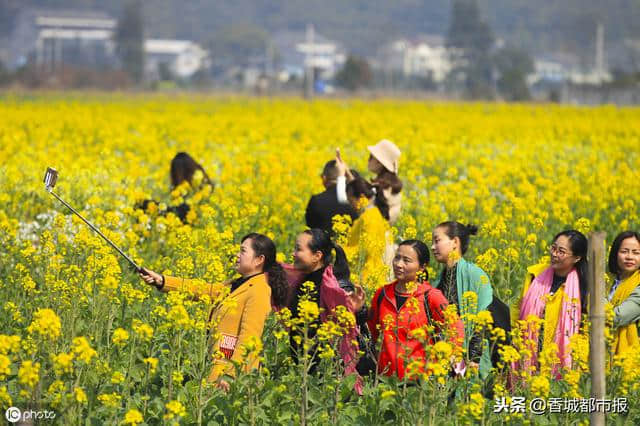 踏青赏花火了咸宁旅游 125万人次游客花了7个亿