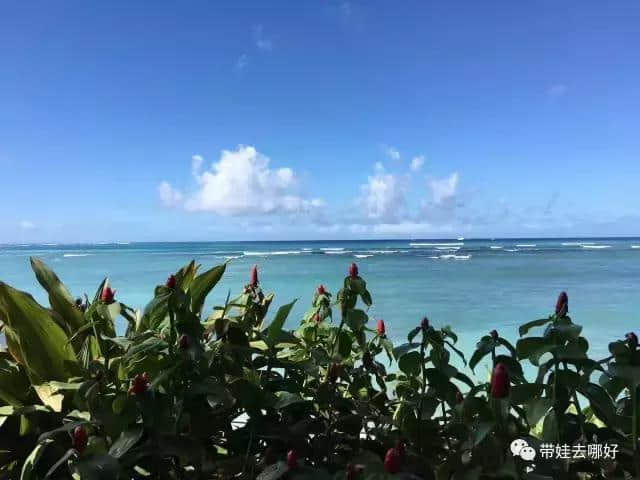 带宝宝的旅行会有怎样不同的风景？带俩娃游夏威夷精华版攻略来啦！