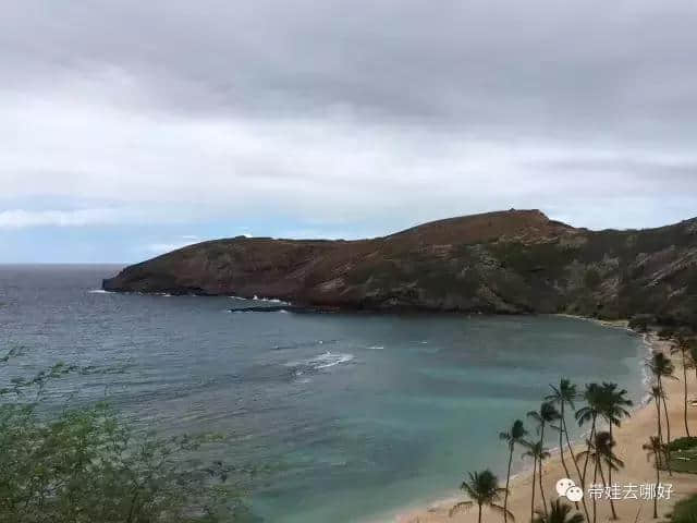 带宝宝的旅行会有怎样不同的风景？带俩娃游夏威夷精华版攻略来啦！