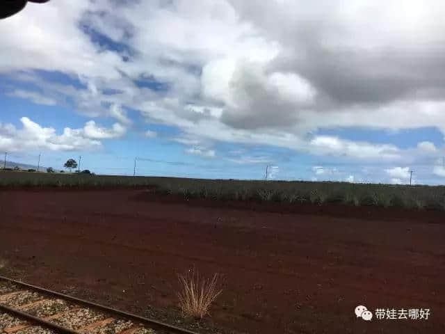 带宝宝的旅行会有怎样不同的风景？带俩娃游夏威夷精华版攻略来啦！