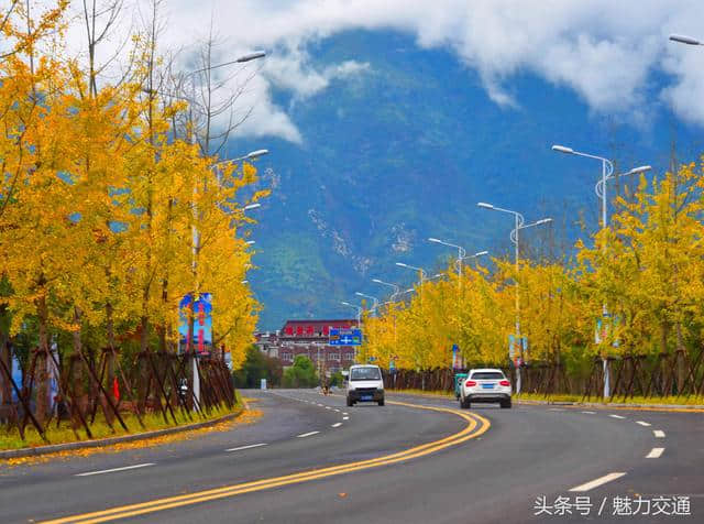 浙江仙居：美丽公路助推全域旅游