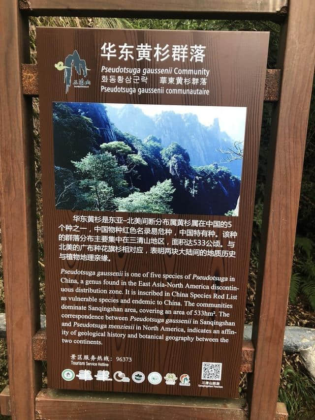 江西三清山游记