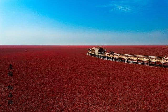 8个高颜值旅行地的玩法推荐，让你在高峰期也能玩出自在感