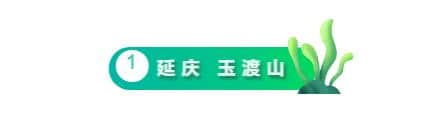 北京郊区6个小众景点，人少景美，去过两个算我输！