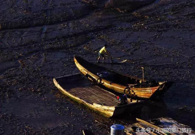 厦门周边游，这几处地方没有去过，都不好意思说是见过滩涂的人！