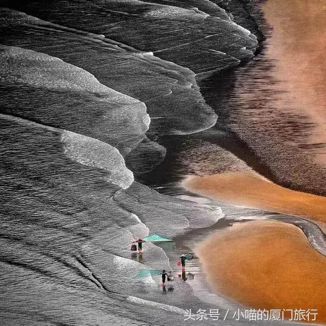 厦门周边游，这几处地方没有去过，都不好意思说是见过滩涂的人！