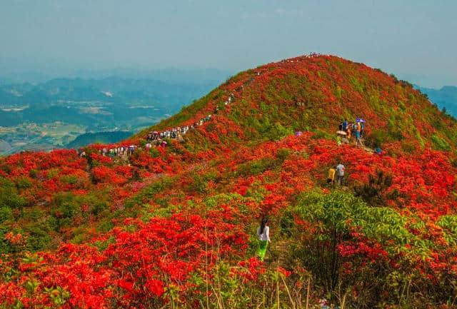 贵州这15座山，你去过几座？