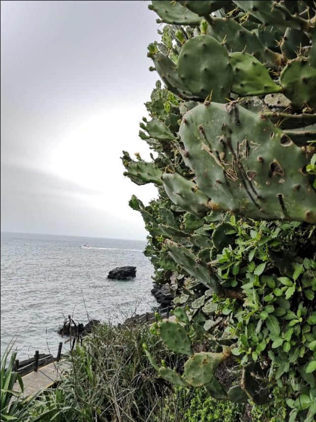 热带雨林版的“蓬莱仙境”：北海涠洲岛攻略，带你看不一样的海