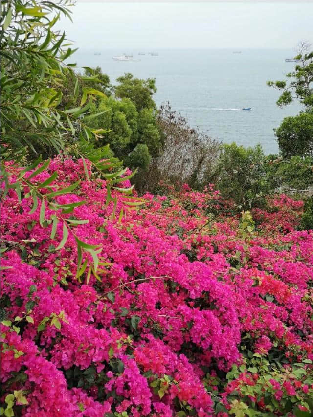 热带雨林版的“蓬莱仙境”：北海涠洲岛攻略，带你看不一样的海