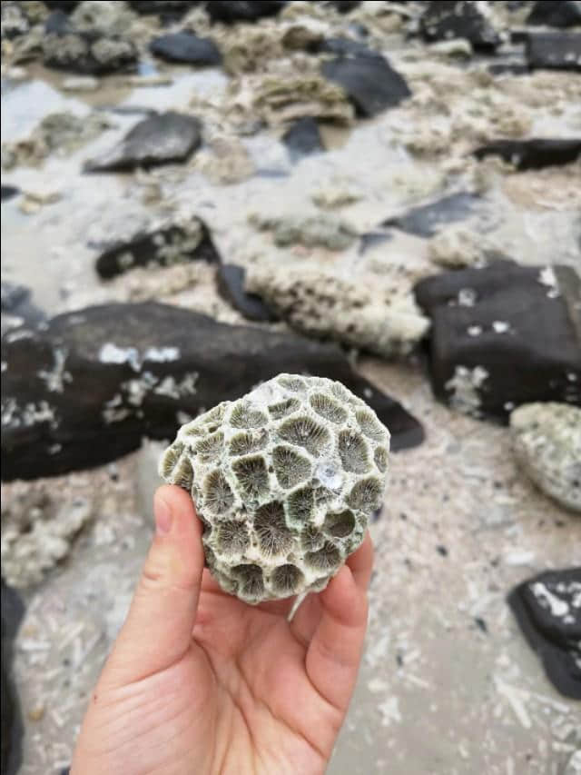 热带雨林版的“蓬莱仙境”：北海涠洲岛攻略，带你看不一样的海