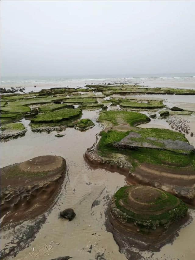 热带雨林版的“蓬莱仙境”：北海涠洲岛攻略，带你看不一样的海