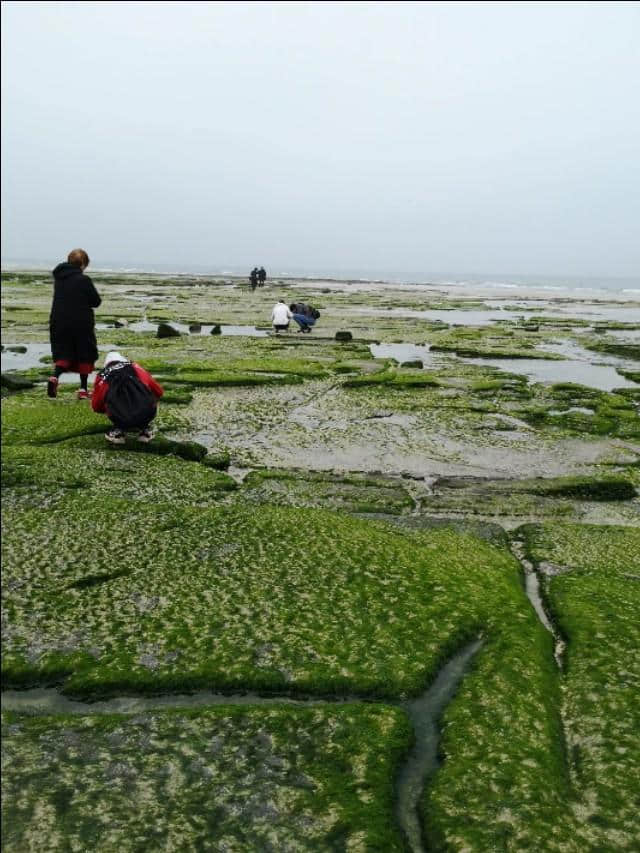 热带雨林版的“蓬莱仙境”：北海涠洲岛攻略，带你看不一样的海