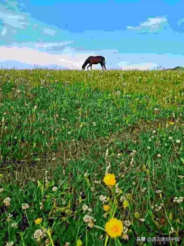 去新疆旅游你不得不知道的秘密，和女生注意事项。兼北疆旅游路线