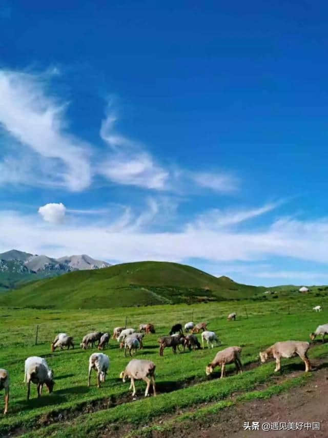 去新疆旅游你不得不知道的秘密，和女生注意事项。兼北疆旅游路线