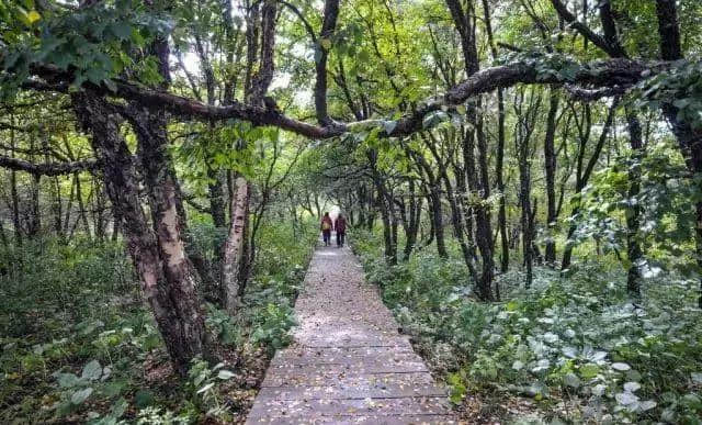 旅游攻略｜6月北京最美旅行地！看了第一个就忍不住要出发！