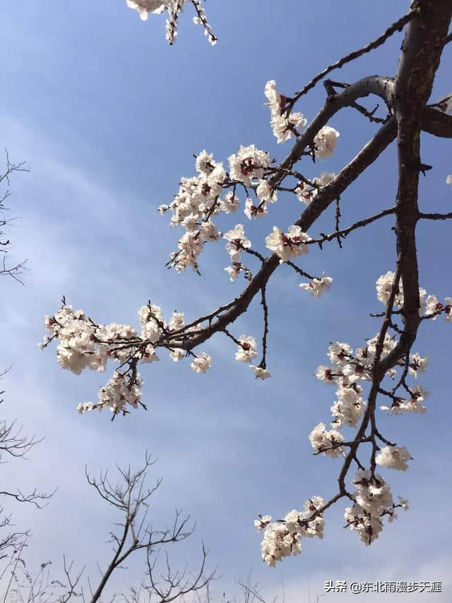 旅游: 北京最美长城-水长城