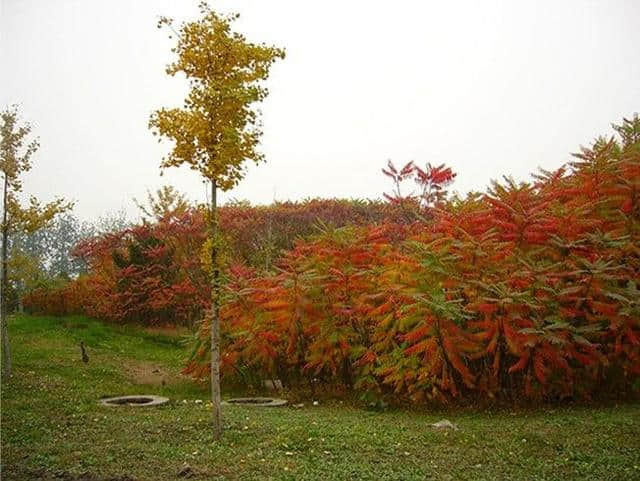 北京近郊免费公园大全，周末郊游景点（二）（按城区整理）