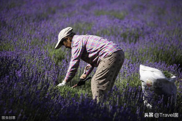 北疆7日环线——解读新疆最经典玩法