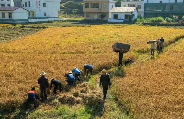 第十届国际温泉文化旅游节之乡村大世界特别节目《丰收中国》