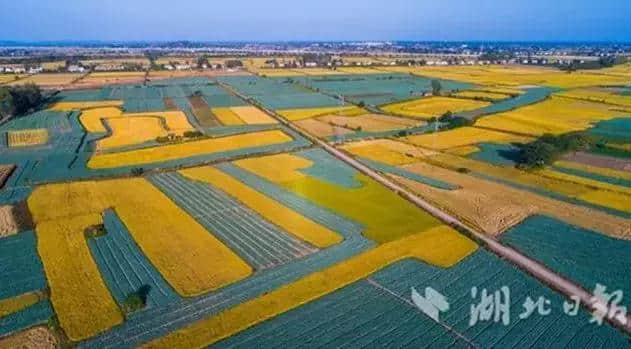 第十届国际温泉文化旅游节之乡村大世界特别节目《丰收中国》