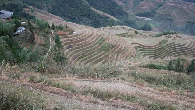 桂林龙脊梯田