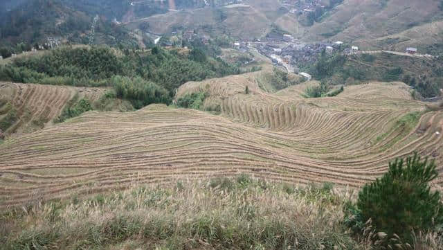 桂林龙脊梯田