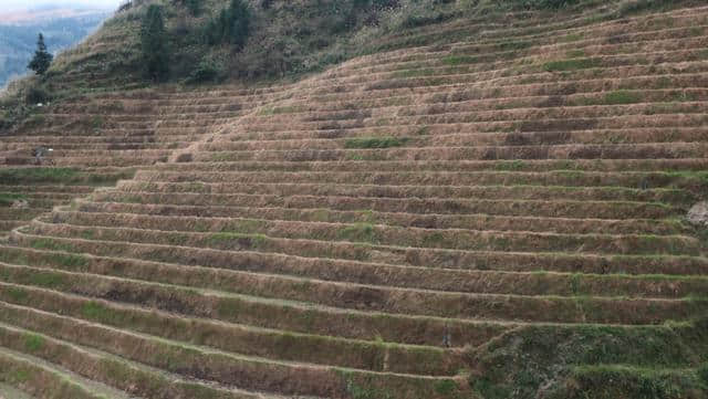 桂林龙脊梯田