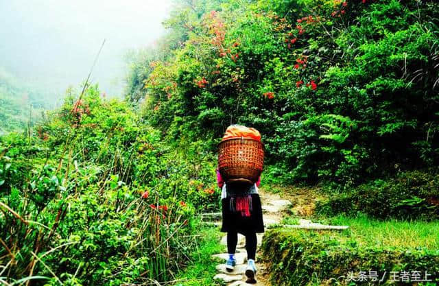 桂林山水甲天下，教你如何玩转桂林各景点路线