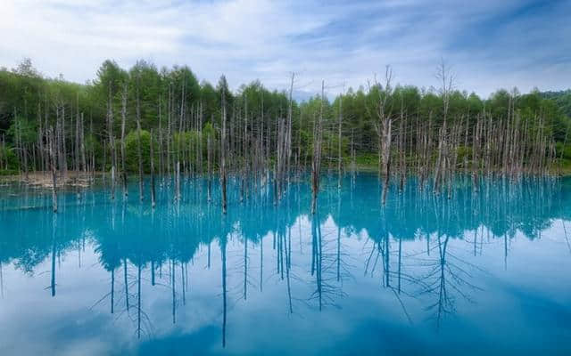 日本美不止樱花！北海道赏花旅游攻略，母亲节最浪漫的礼物！