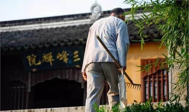 不像景点的景点，到苏州太湖三山岛享受慢生活