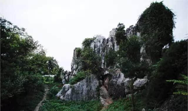 不像景点的景点，到苏州太湖三山岛享受慢生活