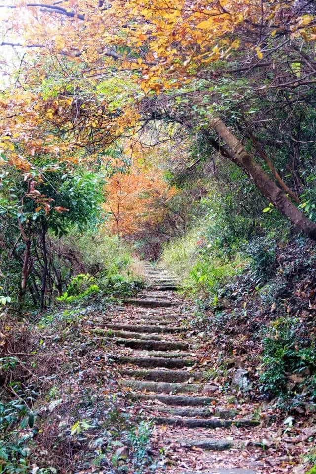 你一定想不到仙居还有这样的美景……