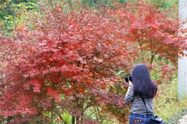 你一定想不到仙居还有这样的美景……