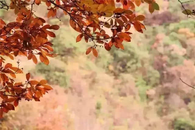 你一定想不到仙居还有这样的美景……